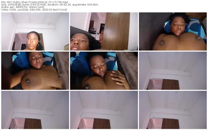 2026/01/27/mfc-ysela-17-17-56