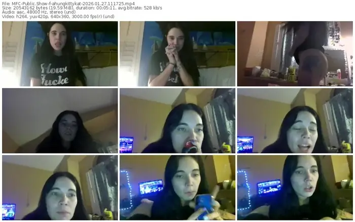 2026/01/27/mfc-ahungkittykat-11-17-25