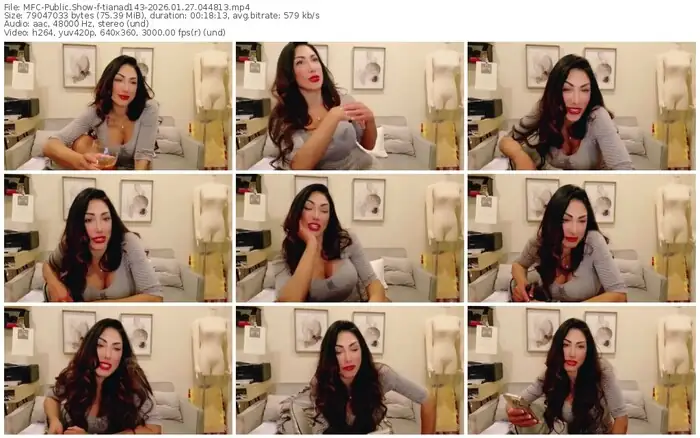 2026/01/27/mfc-tianad143-04-48-13