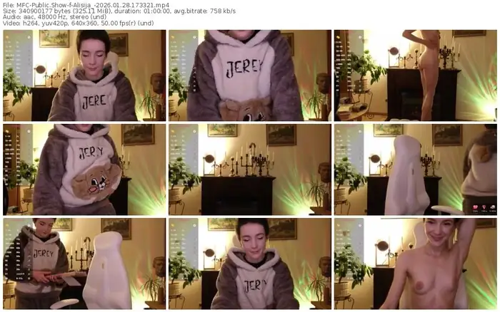 2026/01/28/mfc-alisija_-17-33-21