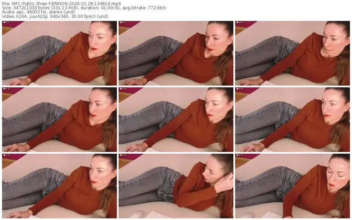 2026/01/28/mfc-erinon-13-48-16