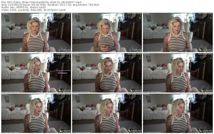 2026/01/28/mfc-mermaidmiley-00-44-57