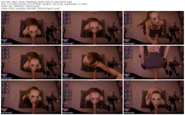 2026/01/28/mfc-redhead_shark-21-45-15