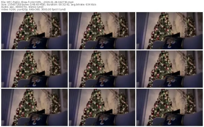 2026/01/28/mfc-uglygirl_-04-27-30