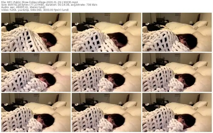 2026/01/29/mfc-alexcollege-13-06-30