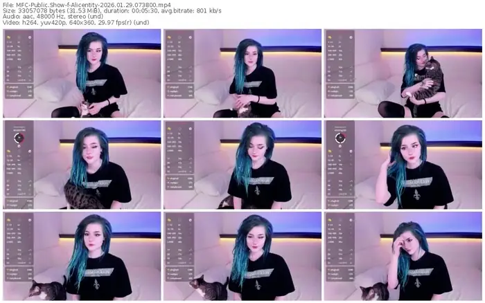 2026/01/29/mfc-alicentity-07-38-00