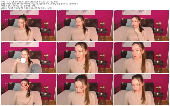 2026/01/29/mfc-erinon-13-47-20