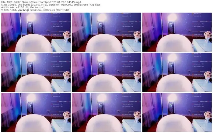 2026/01/29/mfc-thewizzardjen-18-45-45