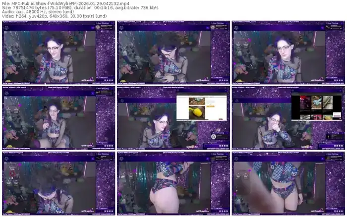 2026/01/29/mfc-wildwyliepm-04-21-32