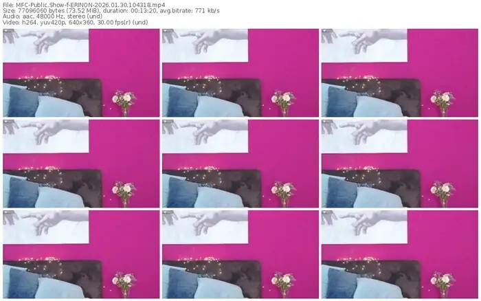 2026/01/30/mfc-erinon-10-43-18