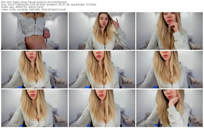 2026/01/30/mfc-evali-15-42-36