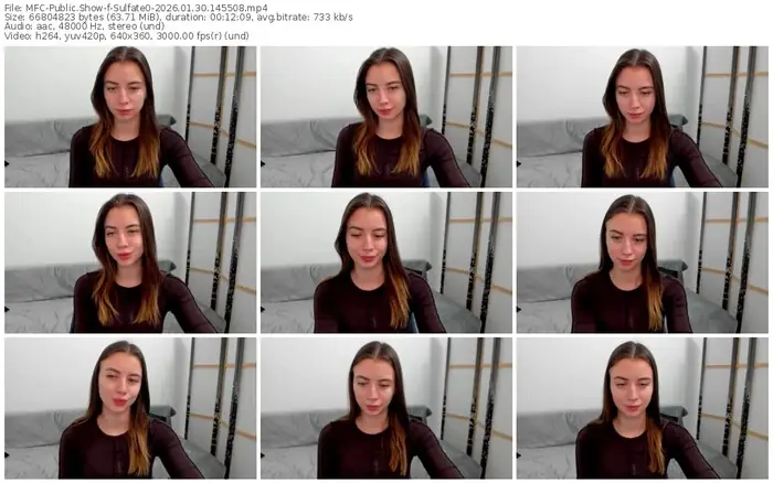 2026/01/30/mfc-sulfate0-14-55-08