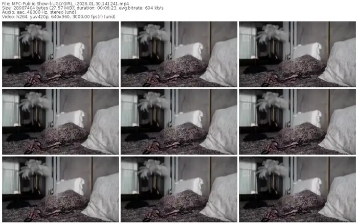 2026/01/30/mfc-uglygirl_-14-12-41
