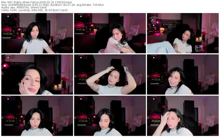 2026/01/31/mfc-alice-13-50-29