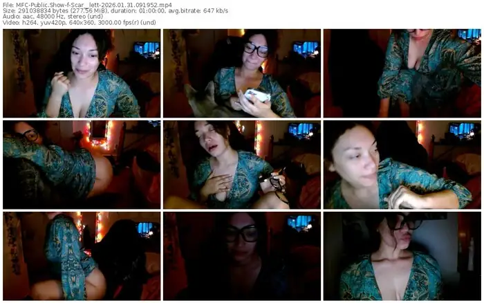 2026/01/31/mfc-scar__lett-09-19-52