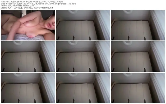 2026/01/31/mfc-skysunflower-07-11-17