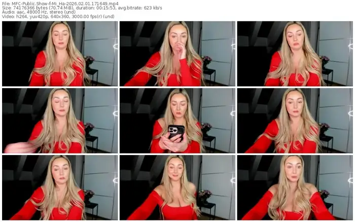 2026/02/01/mfc-mi_ha-17-16-49