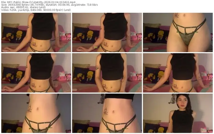 2026/02/04/mfc-cutekitty-01-04-16