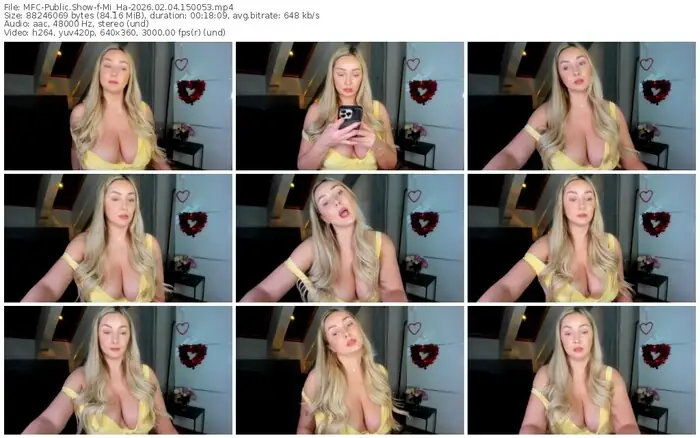 2026/02/04/mfc-mi_ha-15-00-53