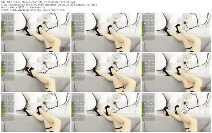 2026/02/04/mfc-vitacraft_-11-01-38