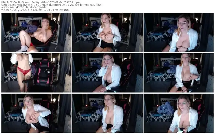 2026/02/04/mfc-zephyraobs-20-42-58