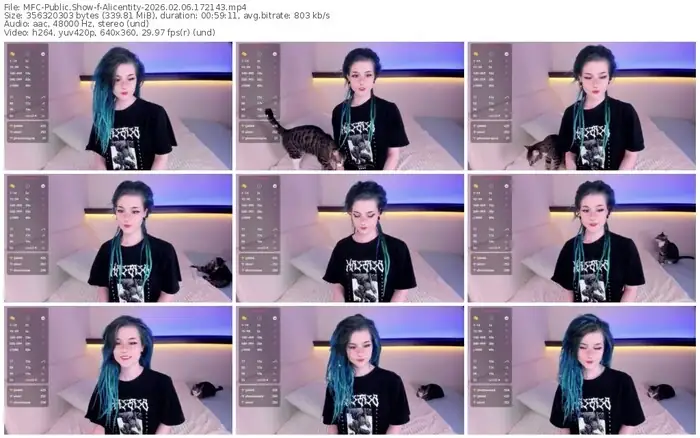 2026/02/06/mfc-alicentity-17-21-43