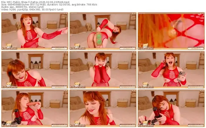 2026/02/06/mfc-ziafox-23-35-48