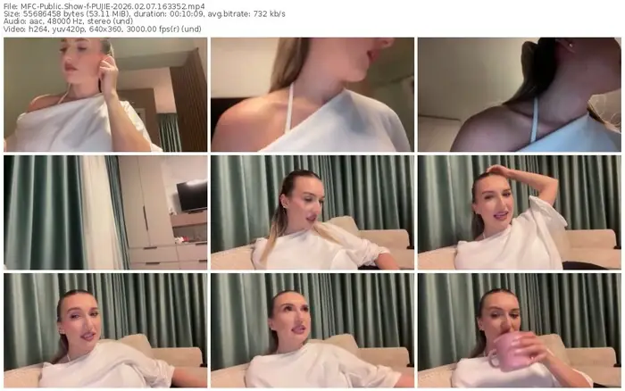 2026/02/07/mfc-pujie-16-33-52