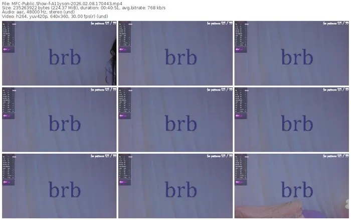 2026/02/08/mfc-a11yson-17-04-43