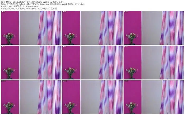 2026/02/08/mfc-erinon-12-09-01