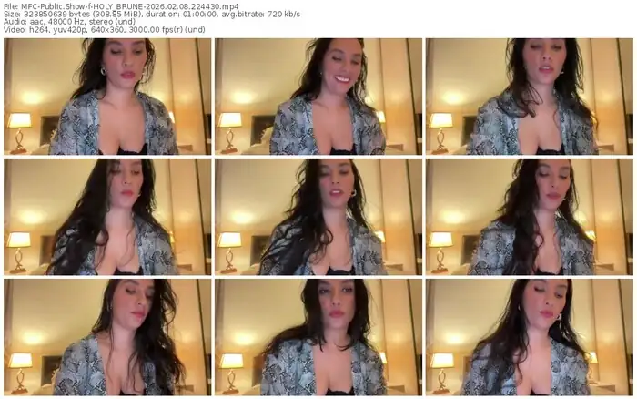 2026/02/08/mfc-holy_brune-22-44-30