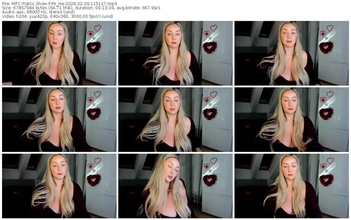 2026/02/09/mfc-mi_ha-11-51-17