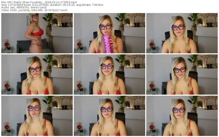 2026/02/10/mfc-leokitty_-17-30-53