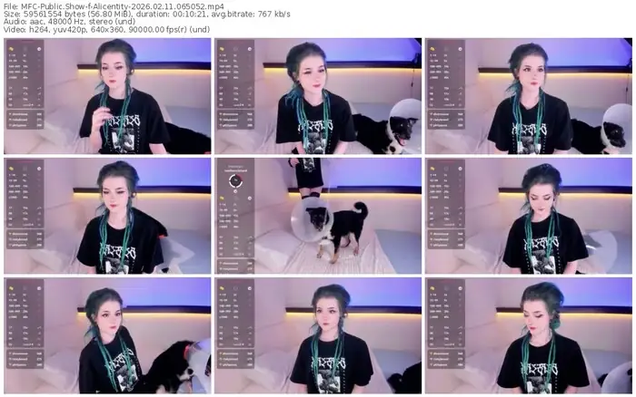 2026/02/11/mfc-alicentity-06-50-52