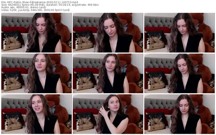 2026/02/11/mfc-breekanne-10-07-10