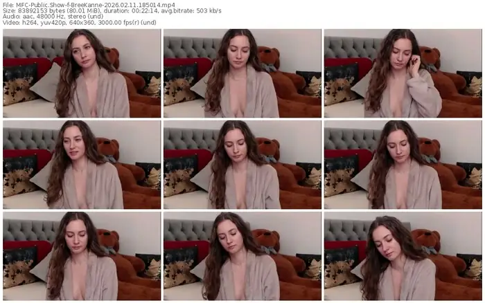 2026/02/11/mfc-breekanne-18-50-14