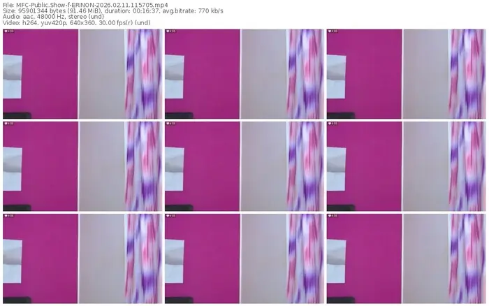 2026/02/11/mfc-erinon-11-57-05