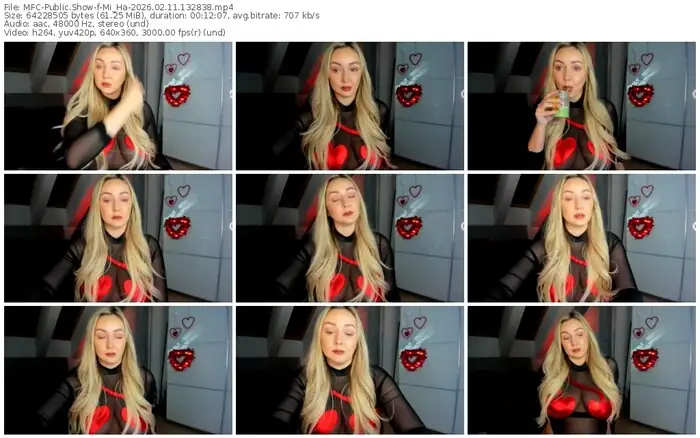 2026/02/11/mfc-mi_ha-13-28-38