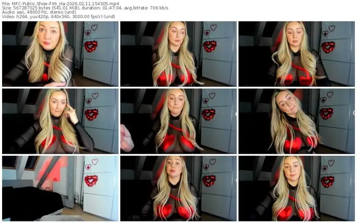 2026/02/11/mfc-mi_ha-15-43-05