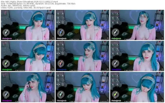 2026/02/11/mfc-pixiebrat-08-51-27