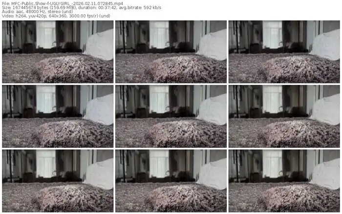 2026/02/11/mfc-uglygirl_-07-28-45