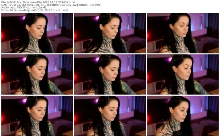 2026/02/12/mfc-acidpie-23-44-59