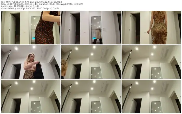 2026/02/12/mfc-anayys-01-51-16