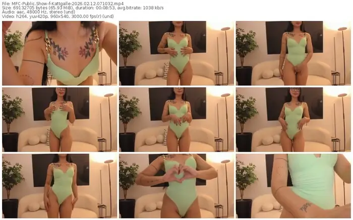 2026/02/12/mfc-kattgalle-07-10-32