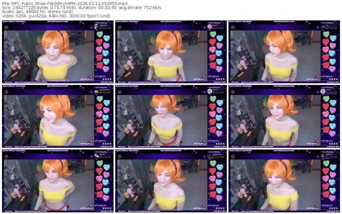 2026/02/12/mfc-wildwyliepm-05-29-55