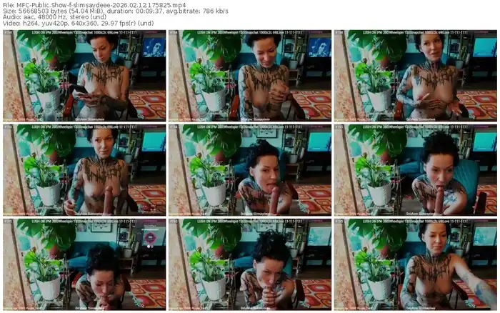 2026/02/12/mfc-slimsaydeee-17-58-25