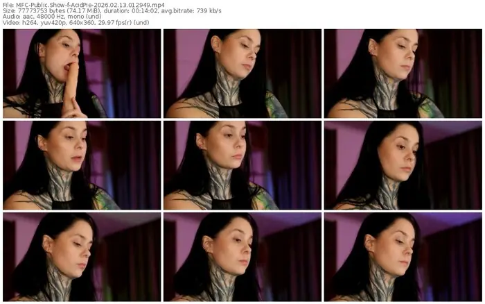 2026/02/13/mfc-acidpie-01-29-49
