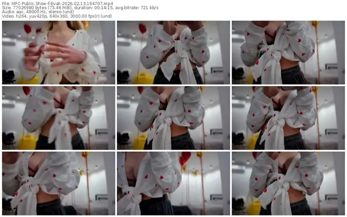 2026/02/13/mfc-evali-16-47-07