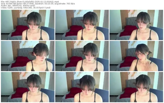 2026/02/13/mfc-littlesofig-05-39-21