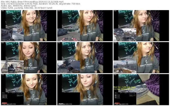 2026/02/13/mfc-princessbluu-21-33-08